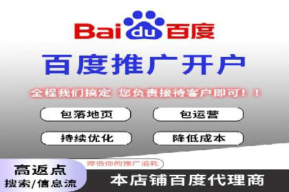 某某SEM团队成功案例：广告投放策略揭秘